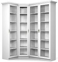 Шкаф книжный Даниэль 2