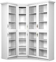 Шкаф книжный Даниэль 3